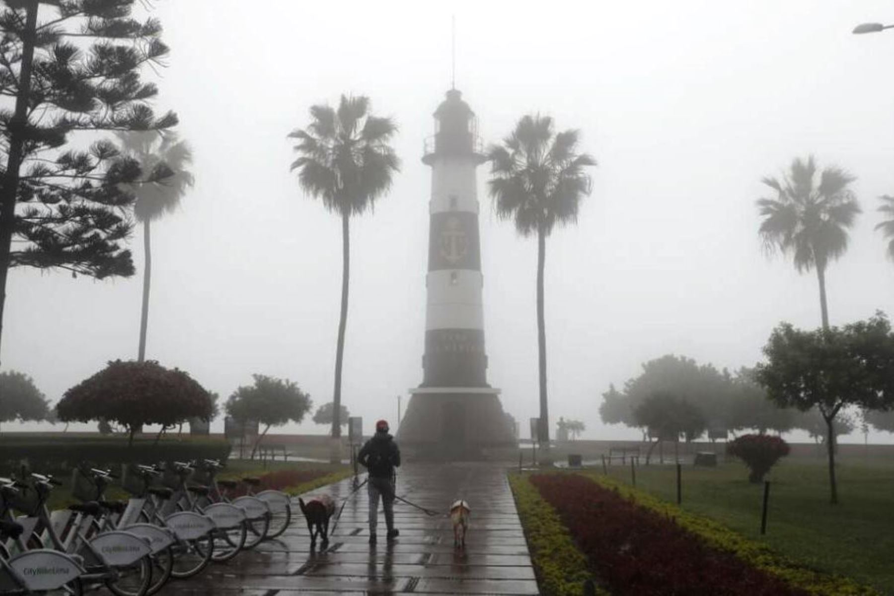 Senamhi: vientos de hasta 32 km/h afectan distritos costeros de Lima y Callao