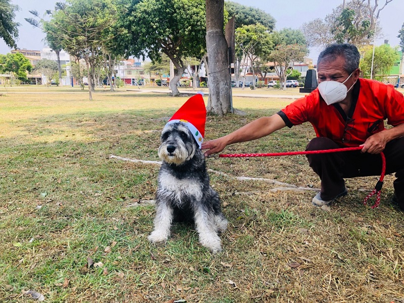 NAVIDAD ENTRE PATITAS: MUNICIPALIDAD DE LIMA ORGANIZA CONCURSO CANINO DE DISFRACES NAVIDEÑOS