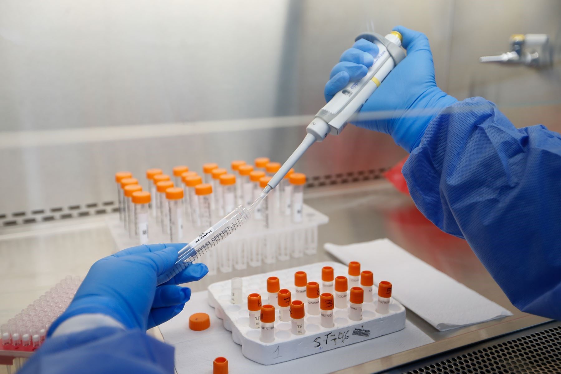 Minsa garantiza distribución y aplicación gratuita de la vacuna en el país