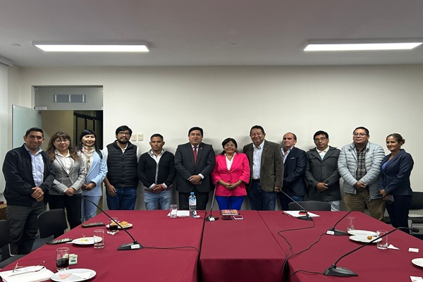 Colegio de Ingenieros del Perú alerta que eliminación de 14 programas afectaría obras de infraestructura de alto impacto 