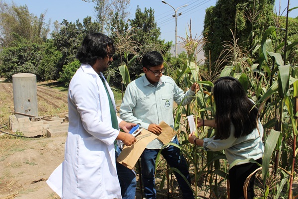 UNALM fortalece la base científica del país: Destina más de S/ 290 mil a 87 proyectos de semilleros de investigación