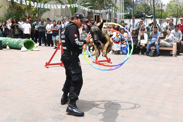 Entrena a tu perro gratis: se dictarán talleres de adiestramiento todos los domingos en Miraflores