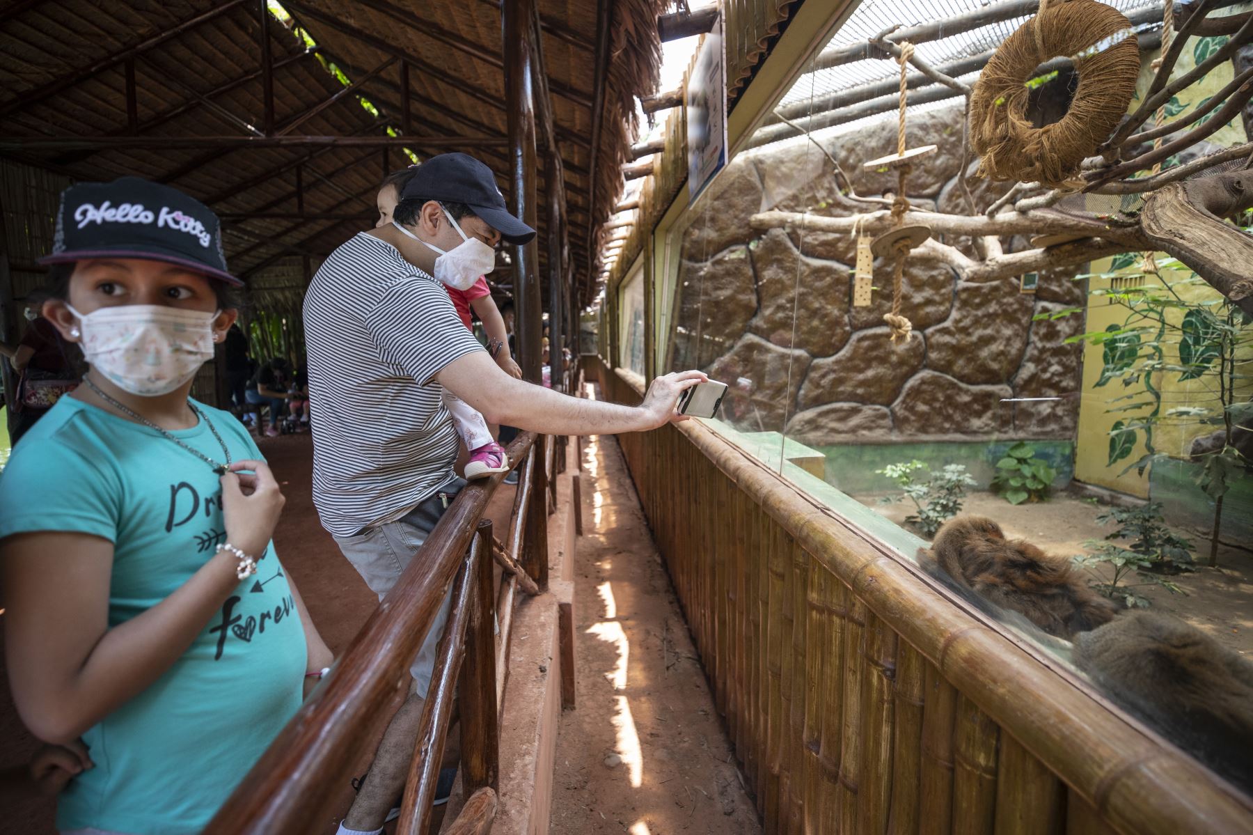 ¡Atención, familia! Museos y zoológicos abrirán sus puertas desde el 1 de marzo