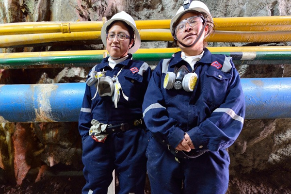 Sello PERUMIN: Profesionales de diversos ámbitos respaldan distintivo a la excelencia en equidad de género