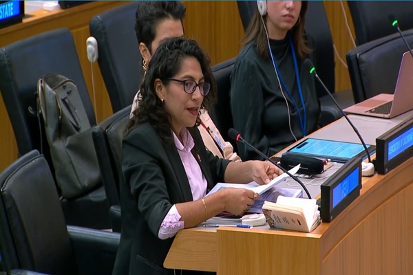 Ministra Leslie Urteaga en la ONU: “El Perú mantiene una de las tasas de inflación más bajas de la región”